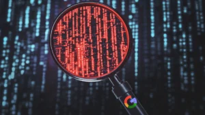 Google Vulnerability Management System