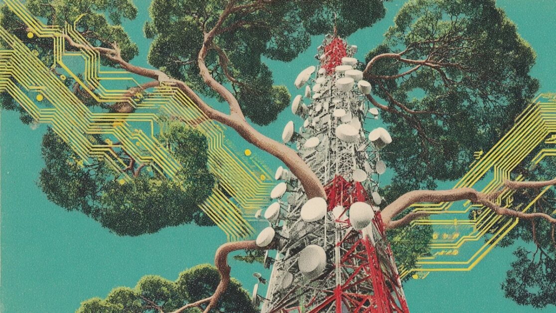 Substantial leadership