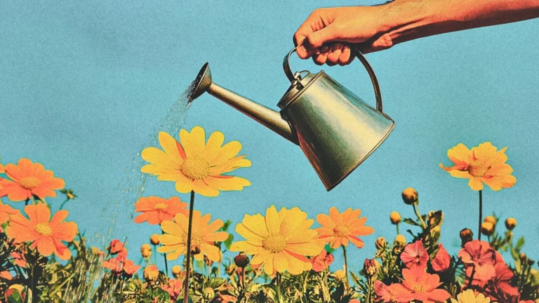 carbon aware software